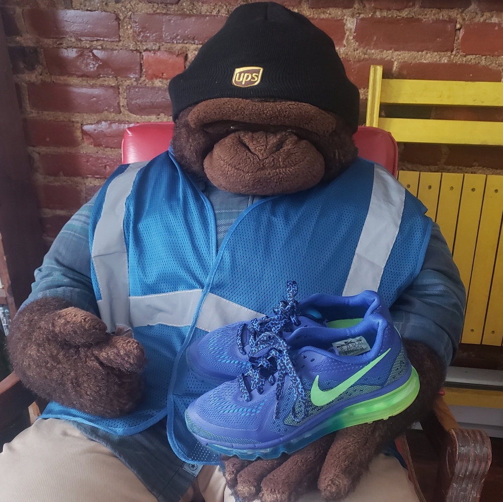 Nike Air Max